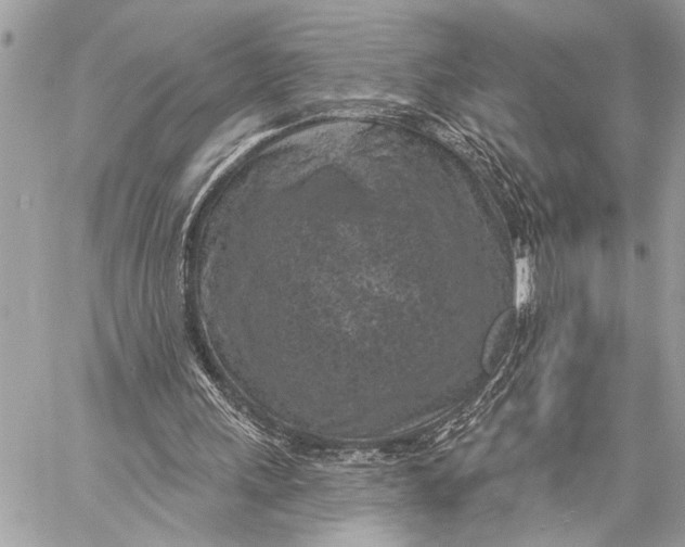 X0000059220243200511041223