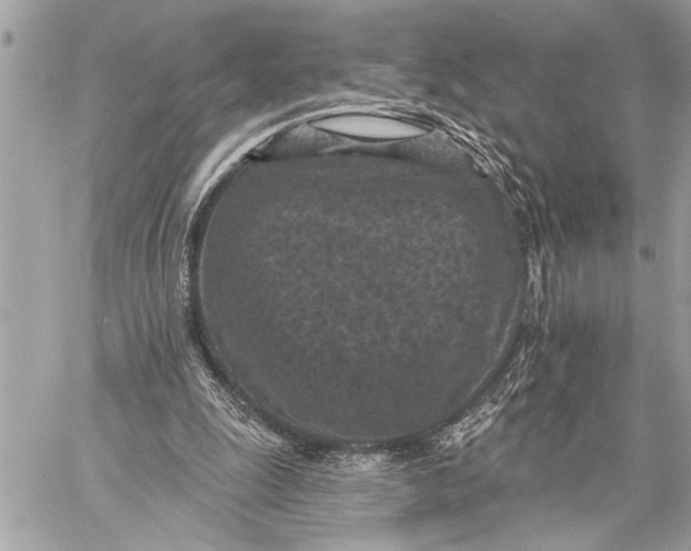 X0000059220247200511041223