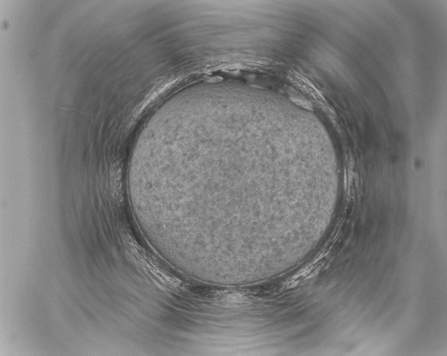 X0000059220249200511041223