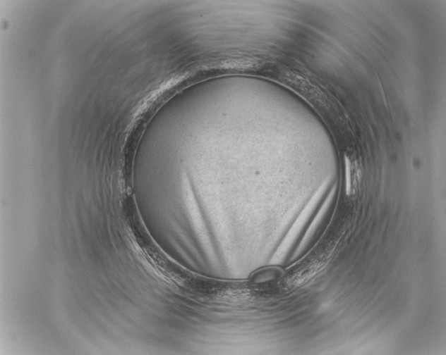X0000059220252200511041223