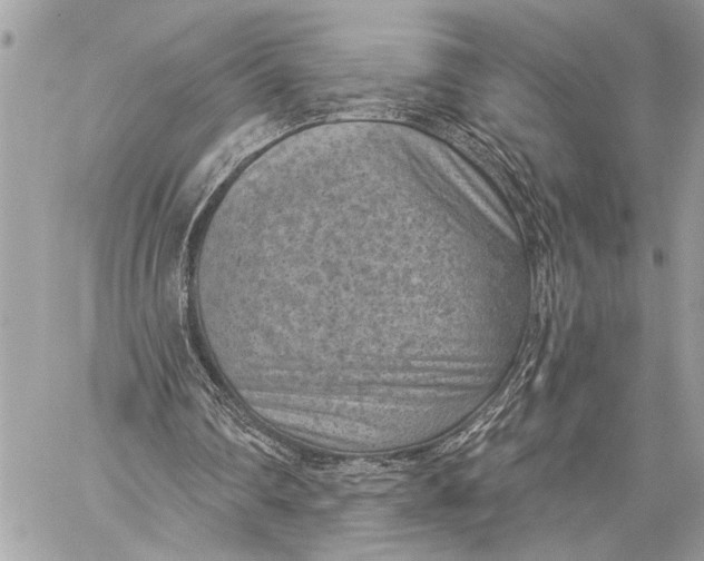 X0000059220290200511041223