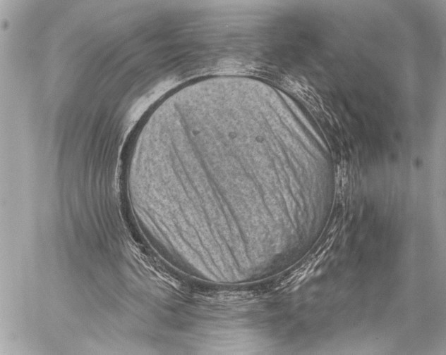 X0000059220292200511041223