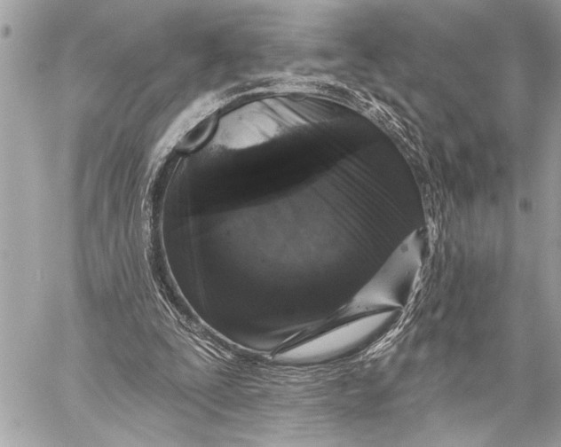 X0000059220295200511041223
