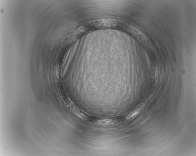 X0000059220326200511041222