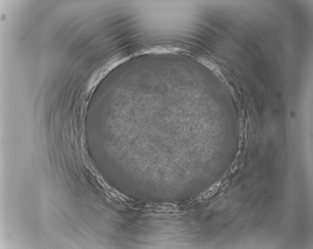 X0000059220337200511041221