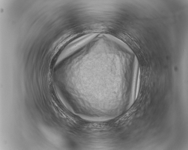 X0000059220338200511041221