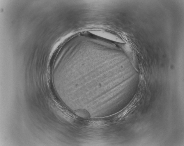 X0000059220342200511041221
