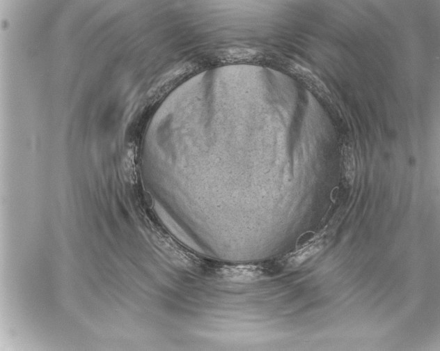 X0000059220378200511041222