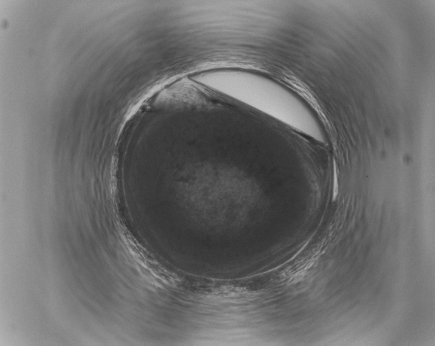 X0000059220387200511041221