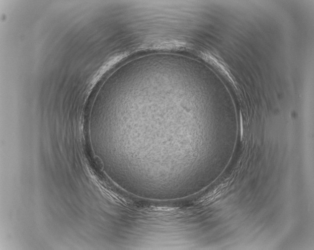 X0000059220483200511041219