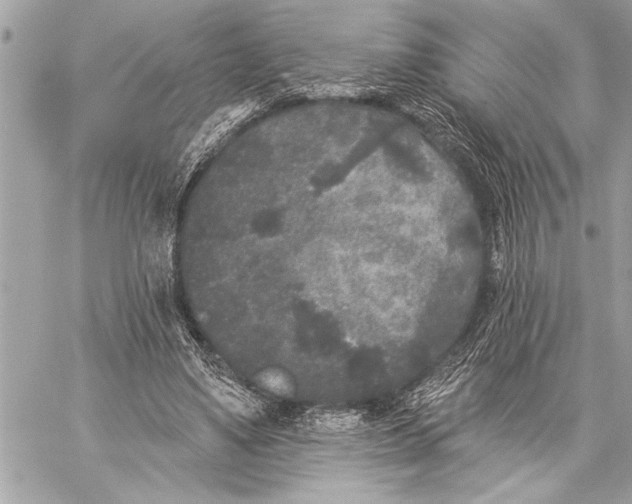 X0000059220491200511041219