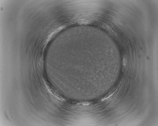 X0000059220492200511041219