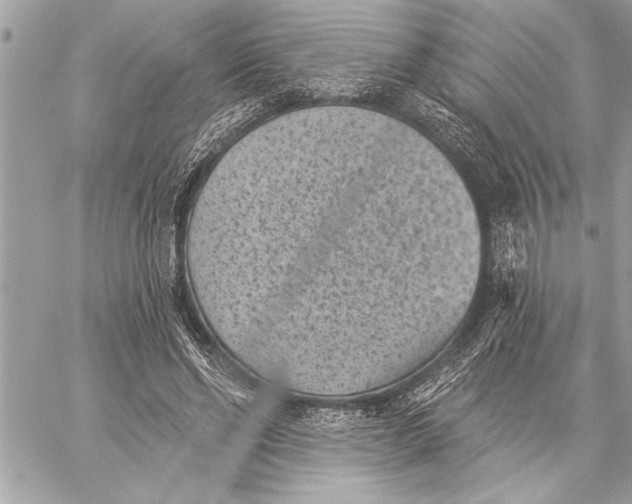 X0000059220494200511041219