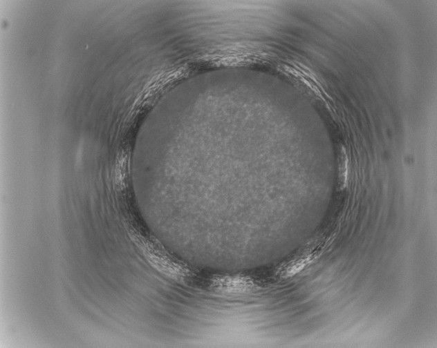 X0000059220503200511041219