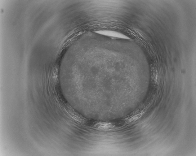 X0000059220507200511041219