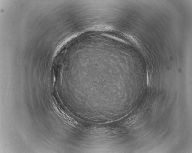 X0000059220531200511041218