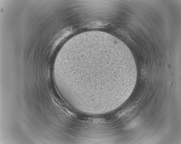 X0000059220539200511041218