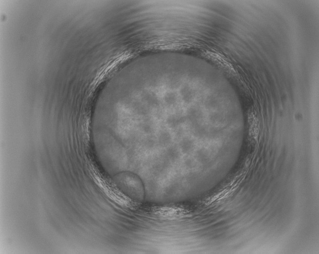 X0000059220542200511041218