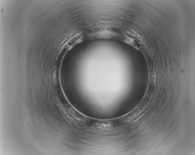 X0000059220552200511041218