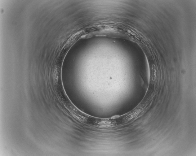 X0000059220562200511041218