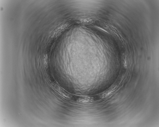 X0000059220563200511041218