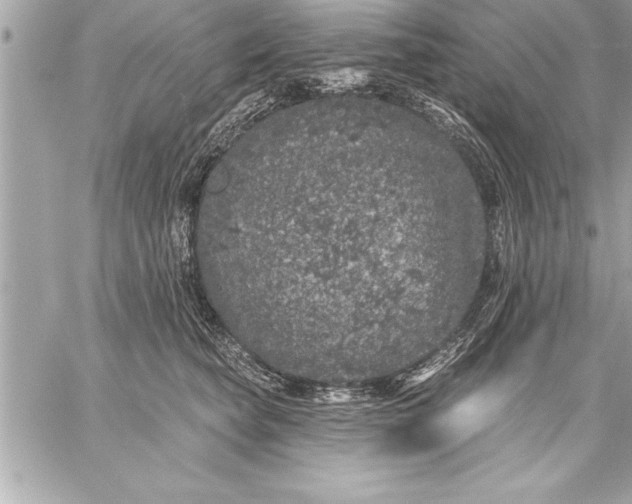 X0000059220565200511041218