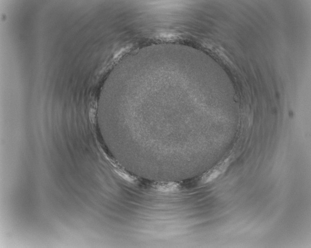 X0000059220576200511041219