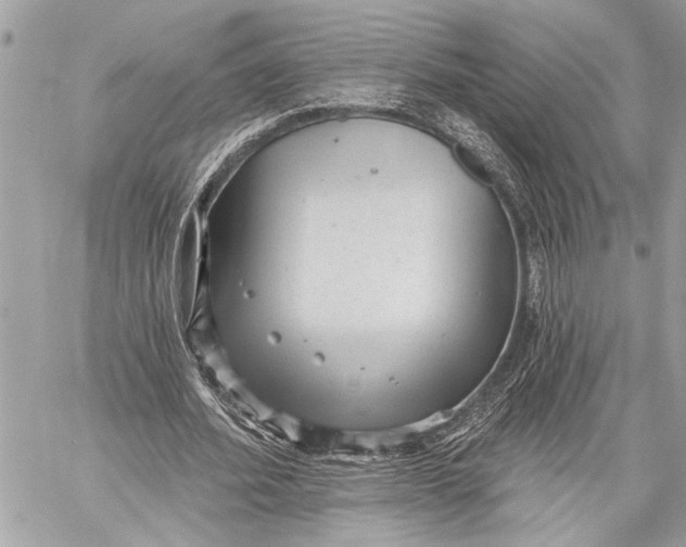 X0000059220580200511041218