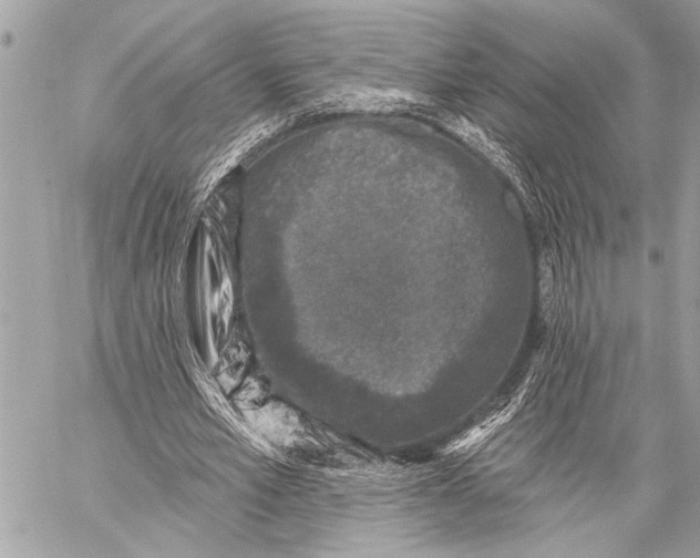 X0000059220581200511041218