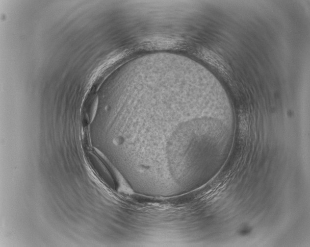 X0000059220582200511041218