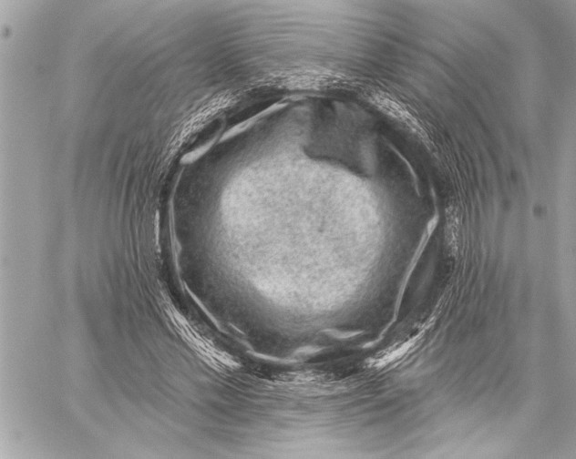 X0000059220589200511041218