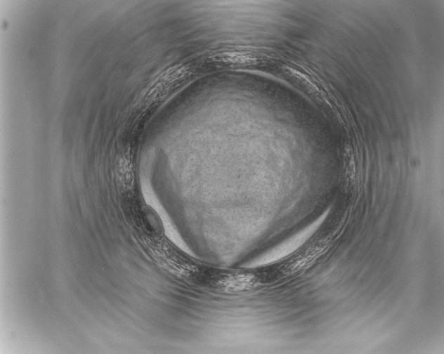 X0000059220609200511041217