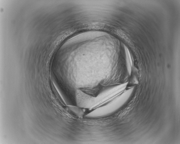 X0000059220673200511041216