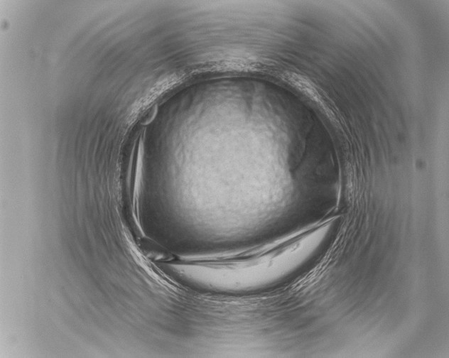 X0000059220677200511041216