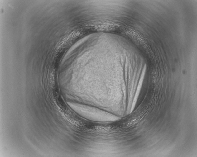 X0000059220690200511041216