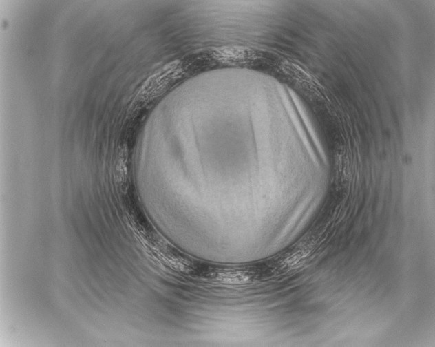 X0000059220702200511041216