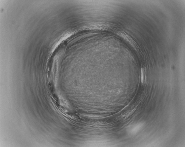 X0000059220723200511041215