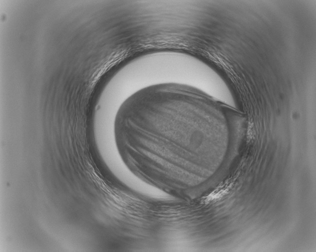 X0000059220735200511041215