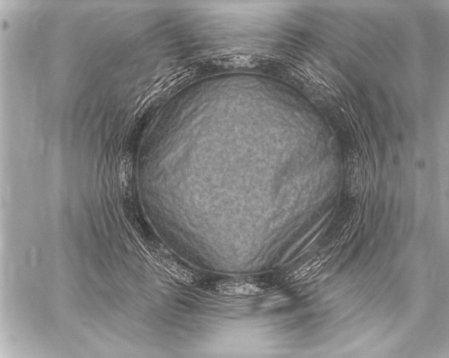 X0000059220747200511041215
