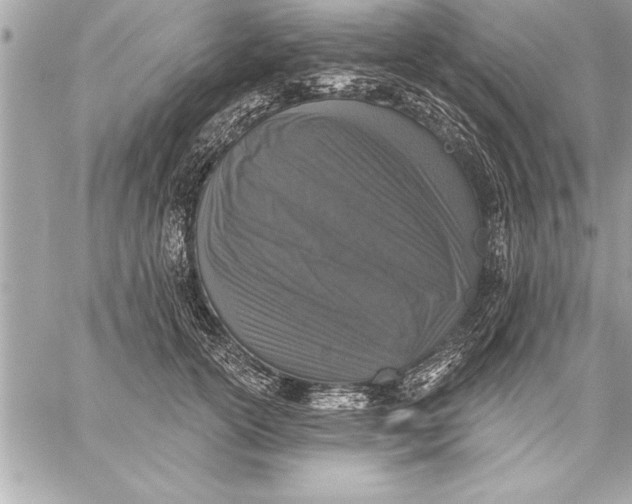 X0000059220754200511041215