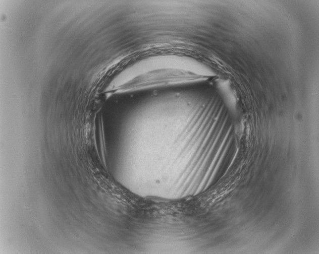 X0000059220822200511041213
