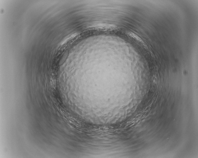 X0000059220869200511041213