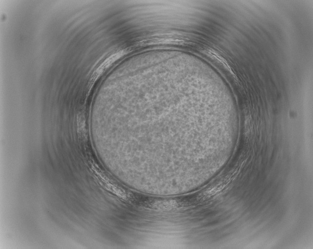 X0000059220882200511041213