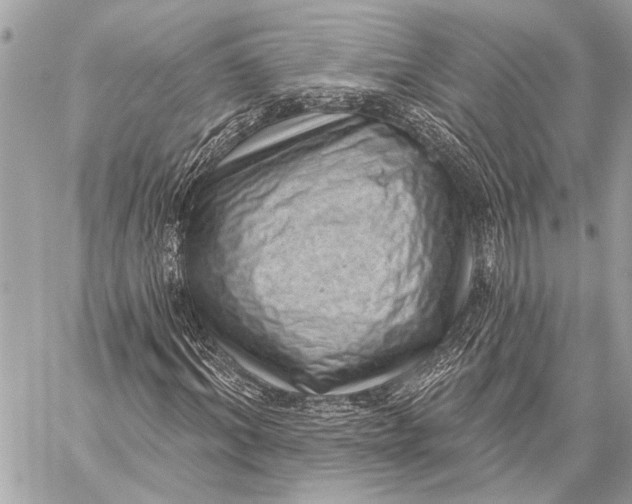 X0000059220964200511041211