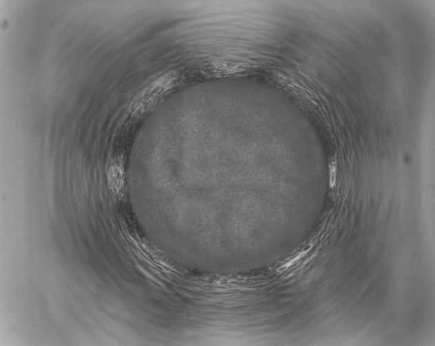 X0000059221011200511041210