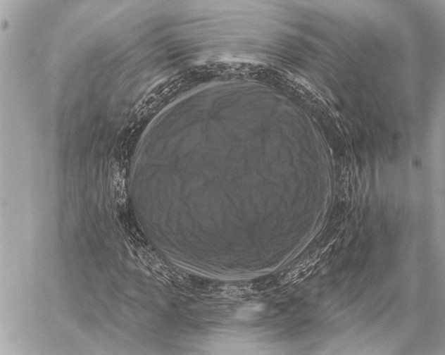 X0000059221013200511041210
