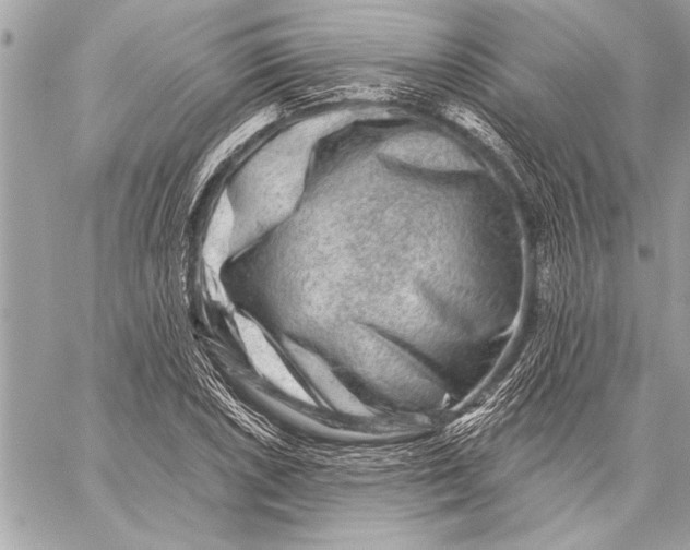 X0000059221026200511041210