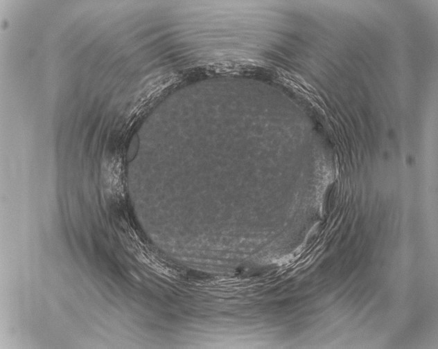 X0000059221060200511041210