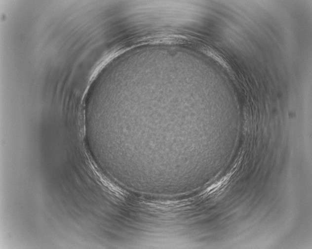 X0000059221075200511041209