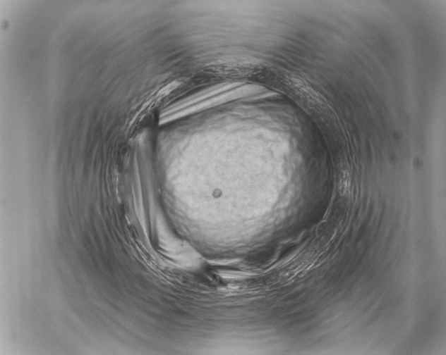 X0000059221108200511041208
